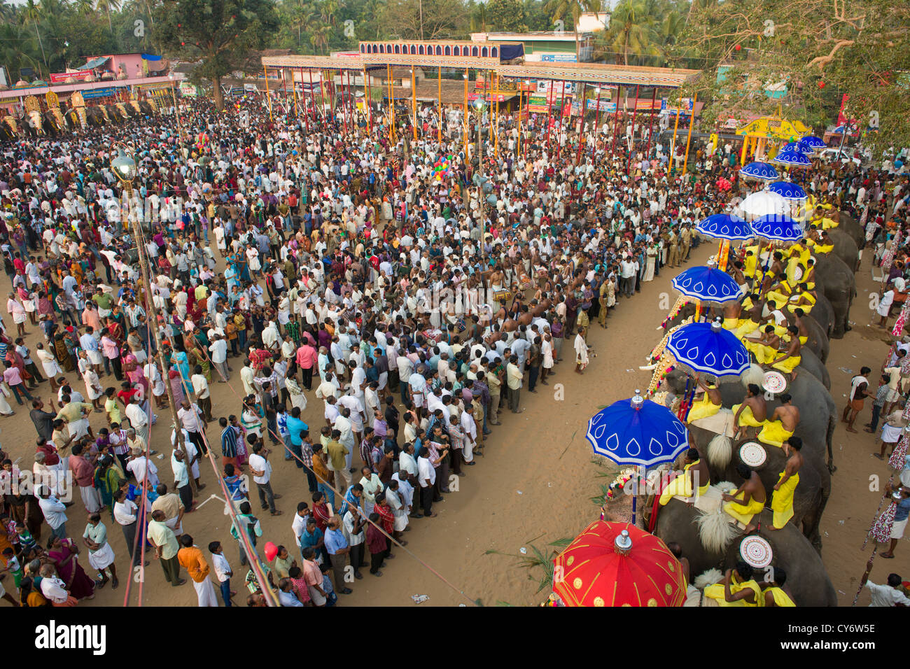 Crowds of pilgrims standing in front of a line of temple elephants at the Goureeswara Temple Festival, Cherai, near Kochi (Cochin), Kerala, India Stock Photo