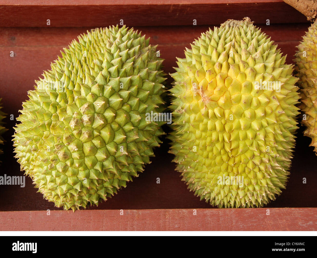 king of fruit durian Stock Photo Alamy