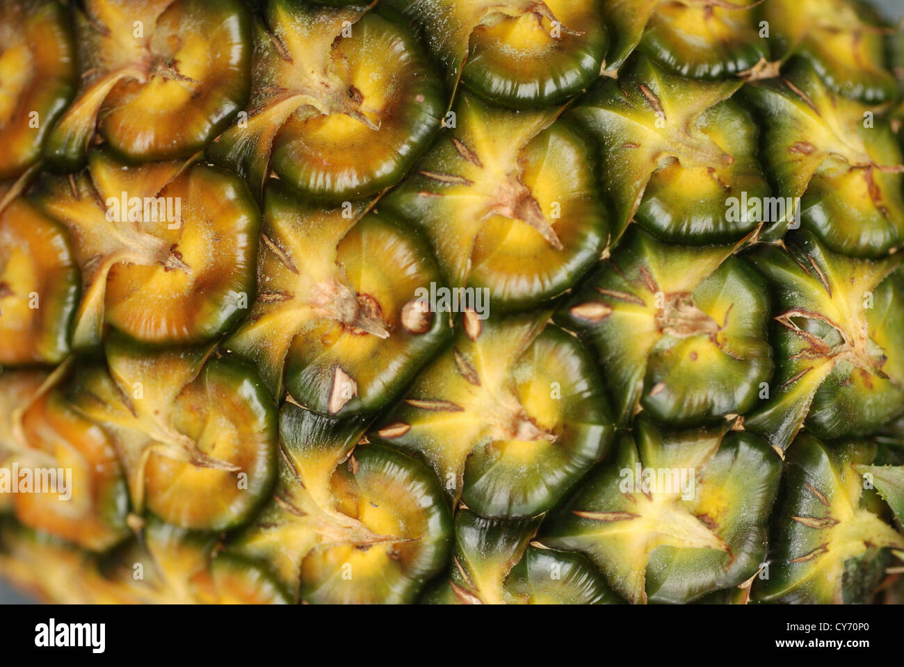 yellow pineapple skin Stock Photo