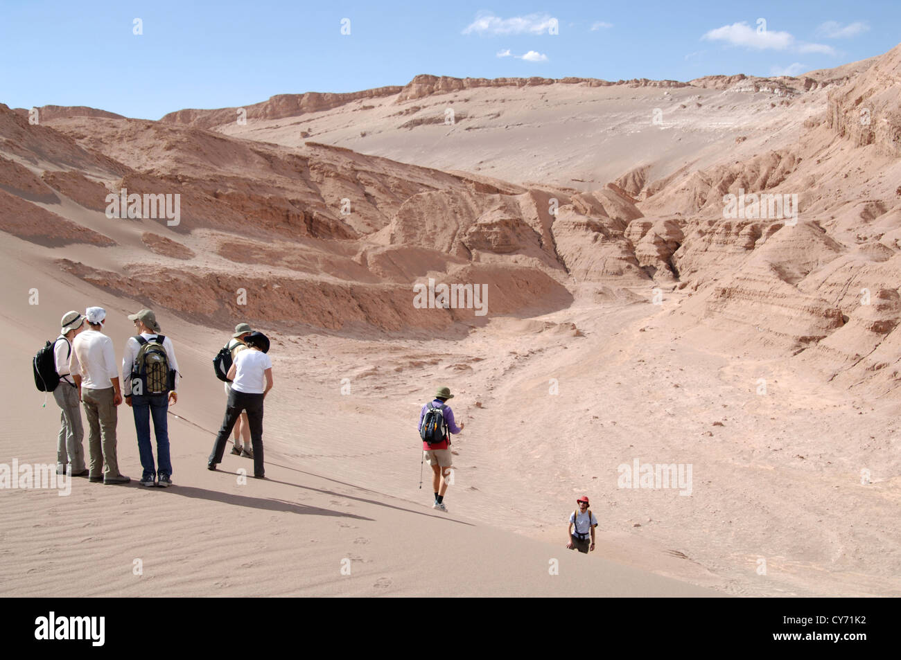 A group of travellers trekking in the Atacama Desert in Chile Stock ...