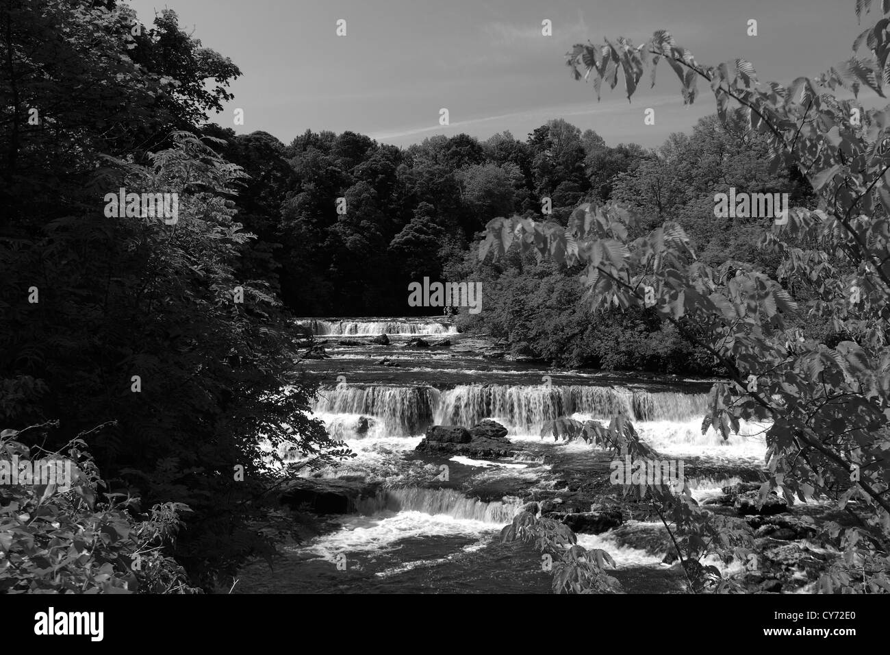 Black and White image panoramic River Ure; Aysgarth Falls; Wensleydale