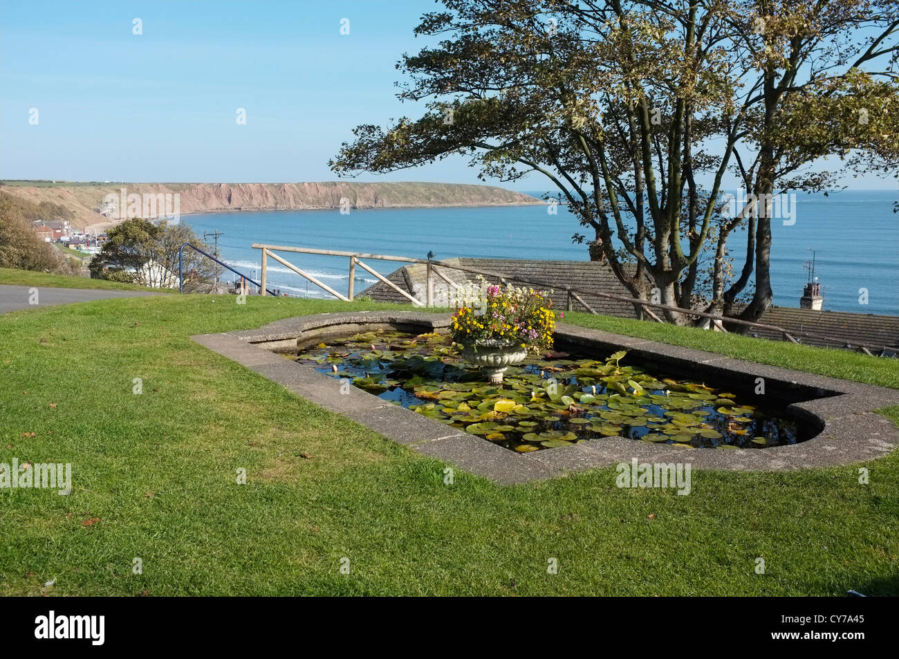 Lilly pond on the cliff top at Filey, Yorkshire. Stock Photo