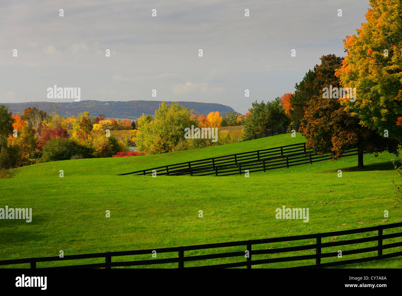 Green paddock of horse farm and Niagara escarpment among orange and red trees of Fall in Caledon Ontario Stock Photo