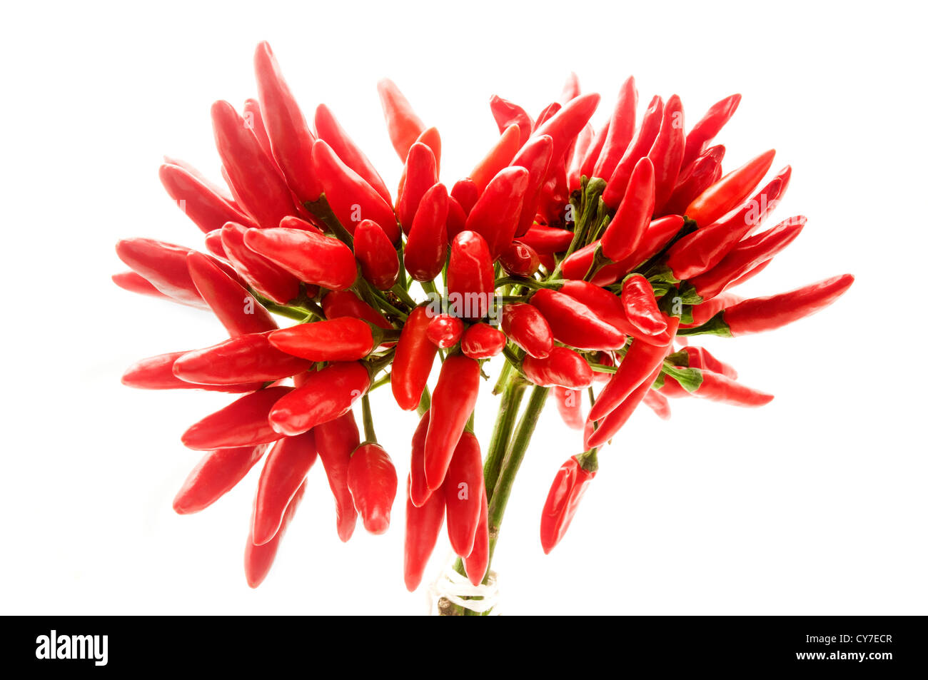Chili peppers on a white background Stock Photo