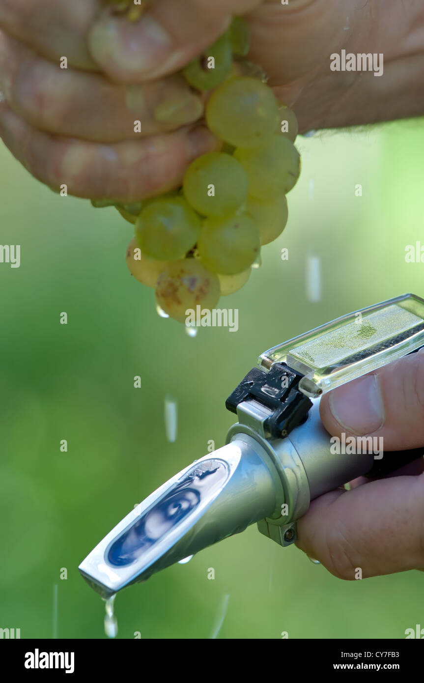 Vintner measures hires stock photography and images Alamy