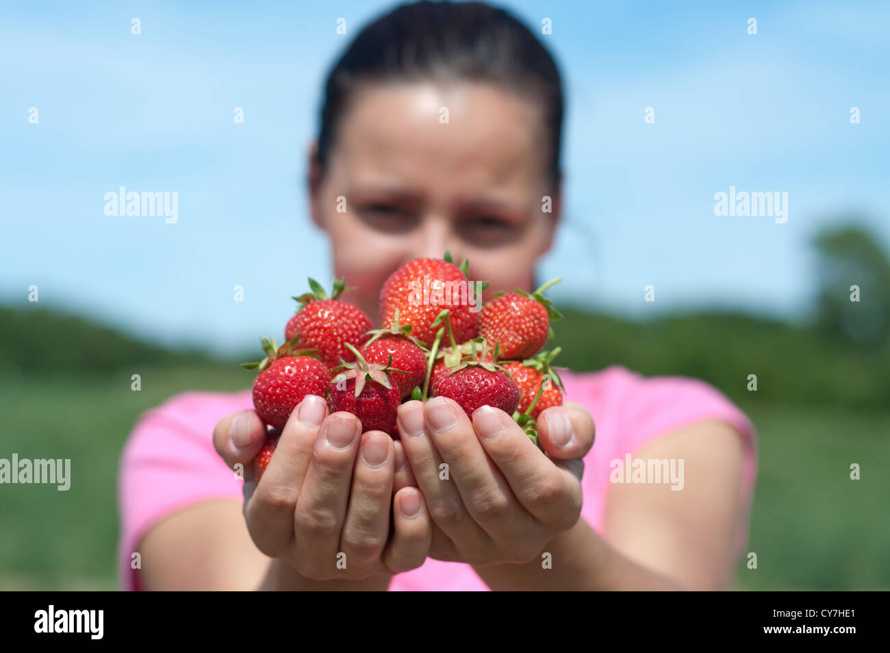 Fresh picked strawberries held by a pretty girl Stock Photo - Alamy