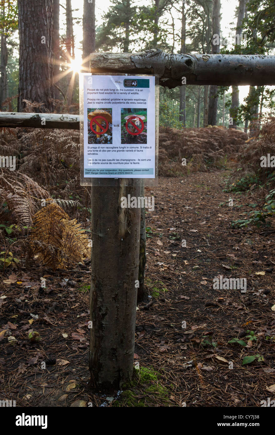 Surrey Wildlife trust posts notices to deter Mushroom Pickers - Ockham Common Stock Photo