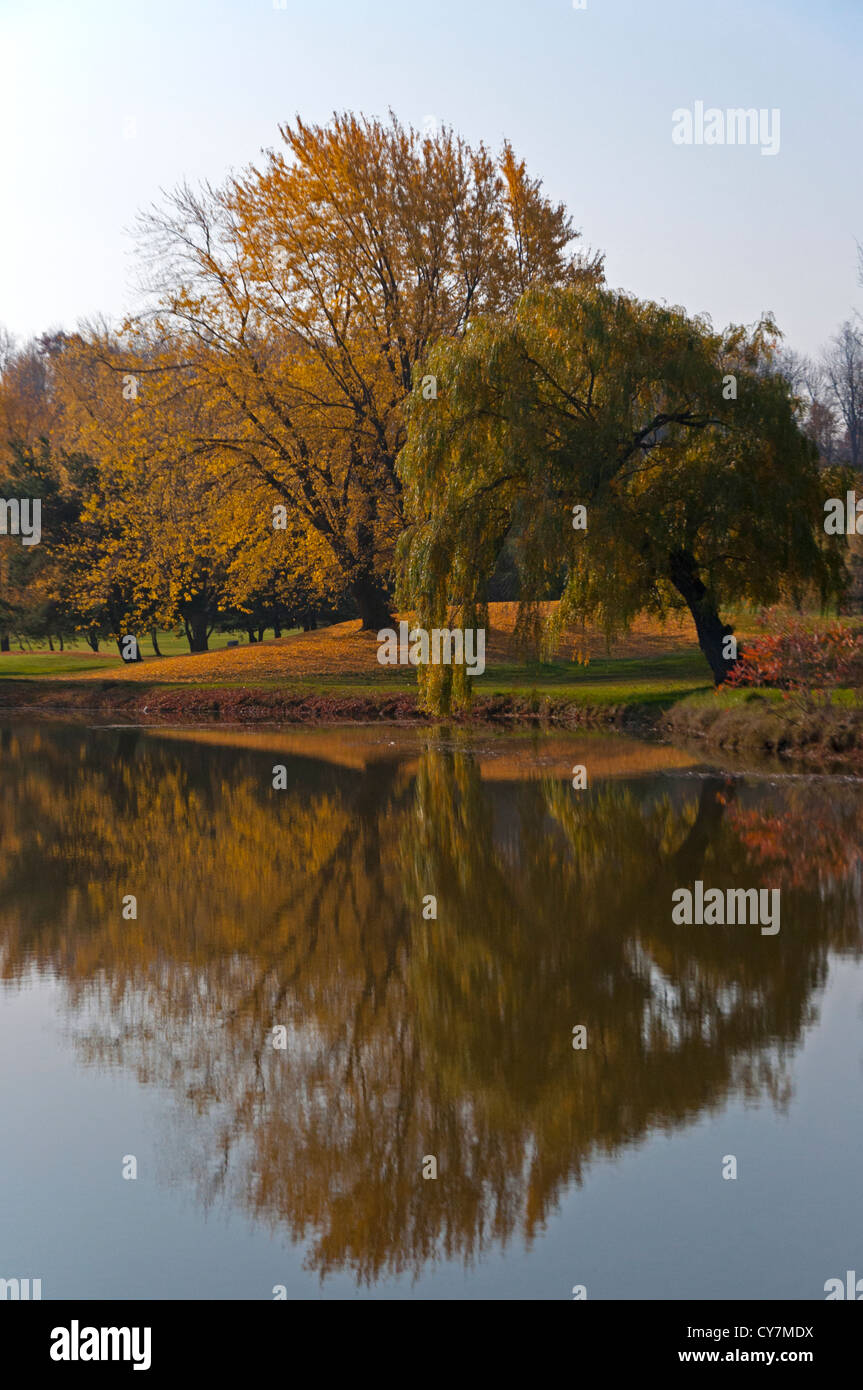 Fall Pond Reflections Reflections fall hi-res stock photography and images - Alamy