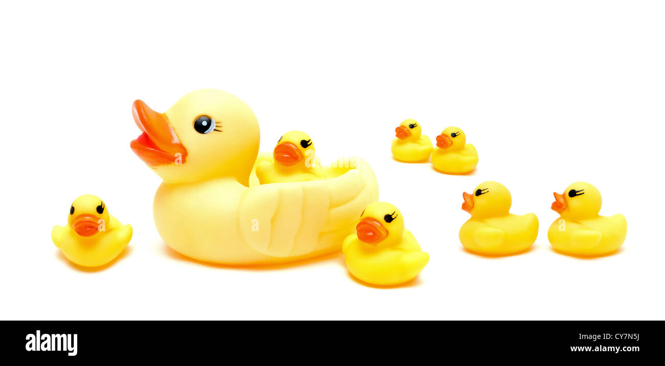 Group a yellow rubber ducks isolated on white Stock Photo - Alamy