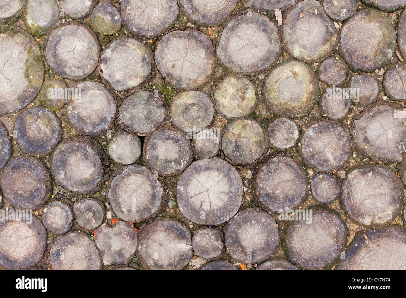 Tree Stump Background Stock Photo - Alamy