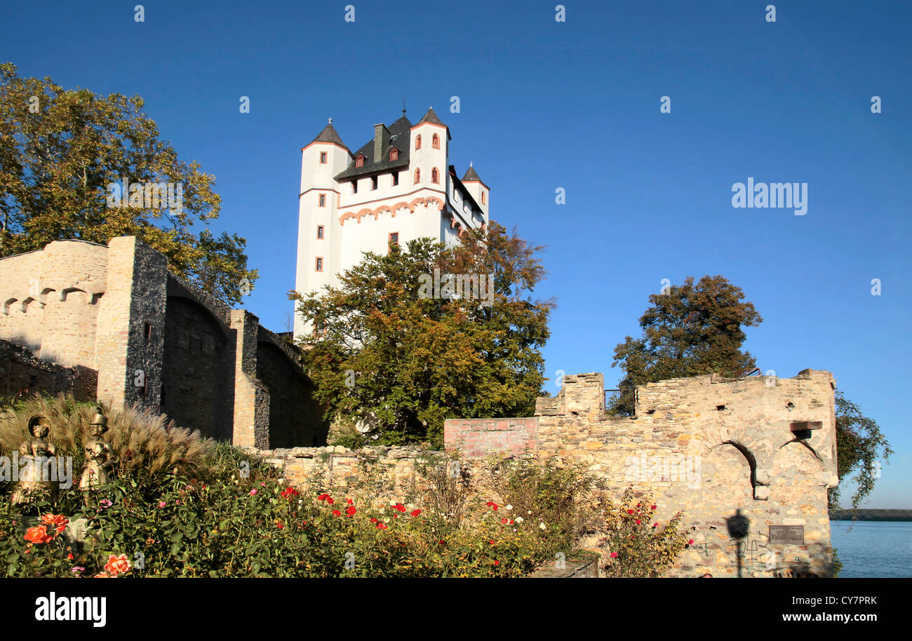 Electoral Castle Of Eltville Rheingau Hesse Germany Stock Photo Alamy