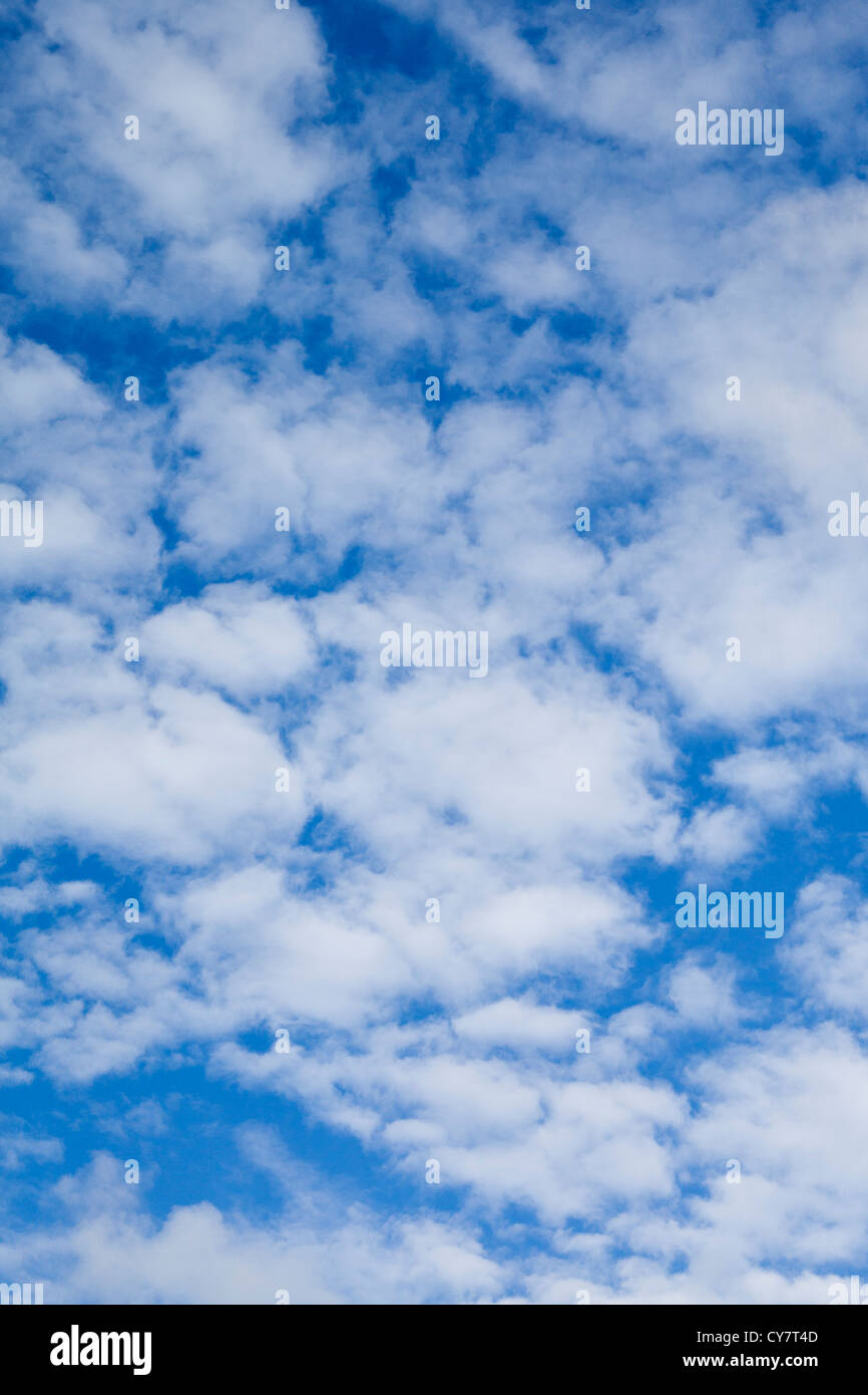 A bright blue sky with fluffy cumulus clouds England UK Stock Photo - Alamy