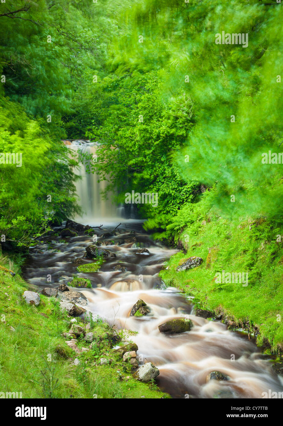 Scale Haw Falls at Hebdon, North Yorkshire. Stock Photo