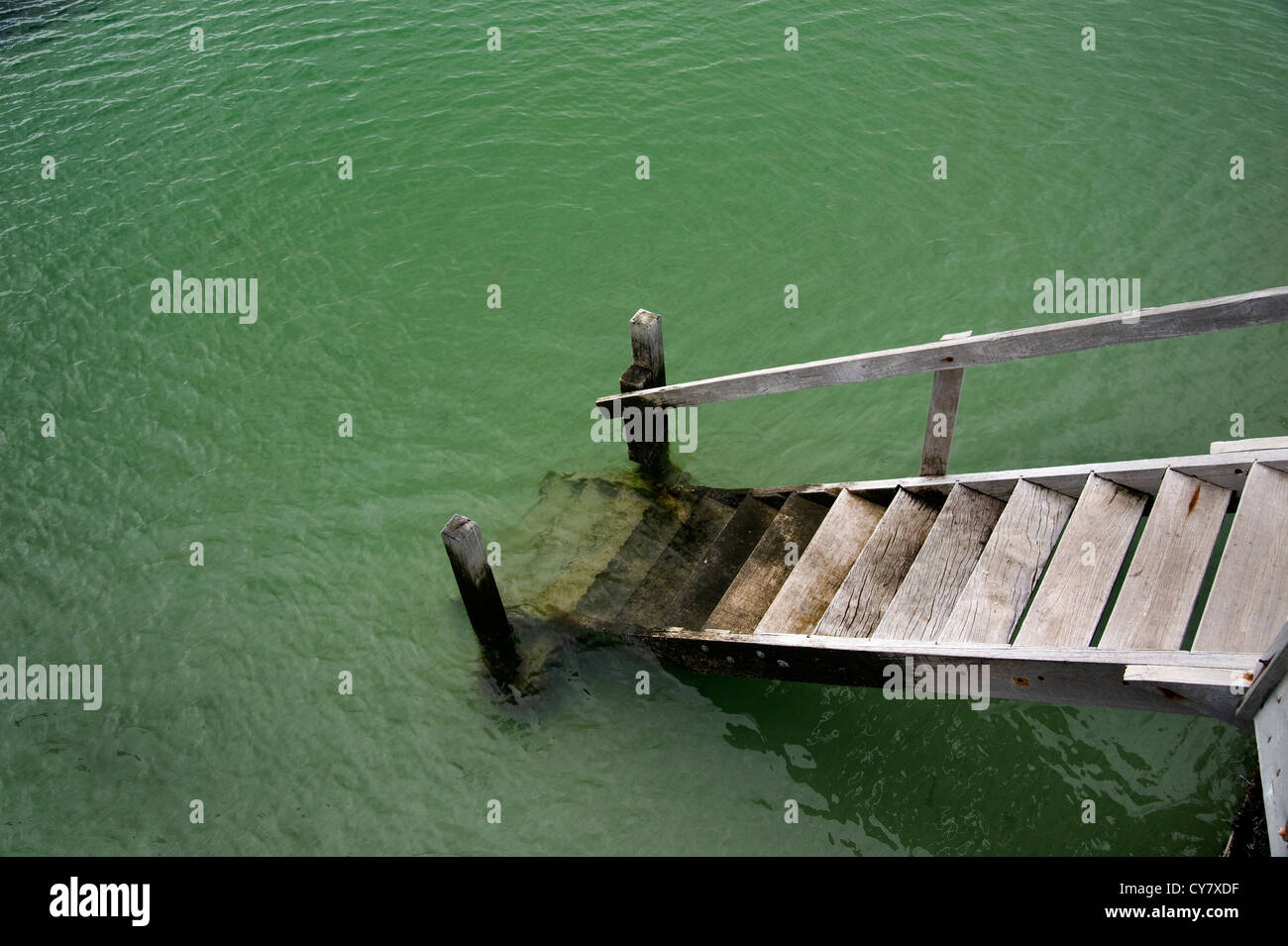 Steep Steps Leading To Lake Dock Stock Image - Image of steps, pond:  220289845