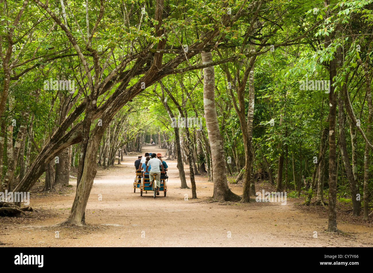 Visitors on pedicab tour of Coba Mayan Ruins, Quintana Roo, Mexico. Stock Photo