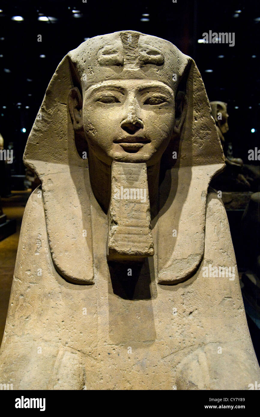 Italy, Piedmont, Turin, Egyptian Museum, Statuary room, the sphinx Stock Photo