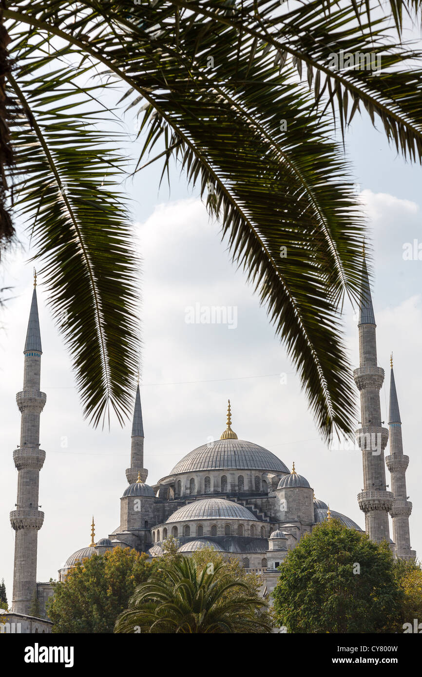 sultan ahmed mosque (blue mosque) exterior in istanbul turkey Stock ...