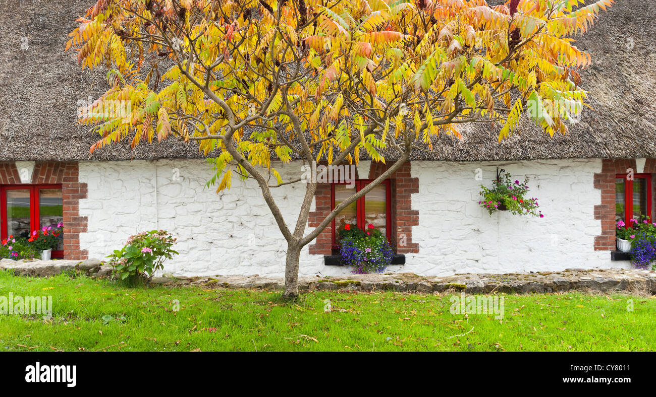 Thatched cottage in the Boyne Valley, County Meath, Ireland Stock Photo