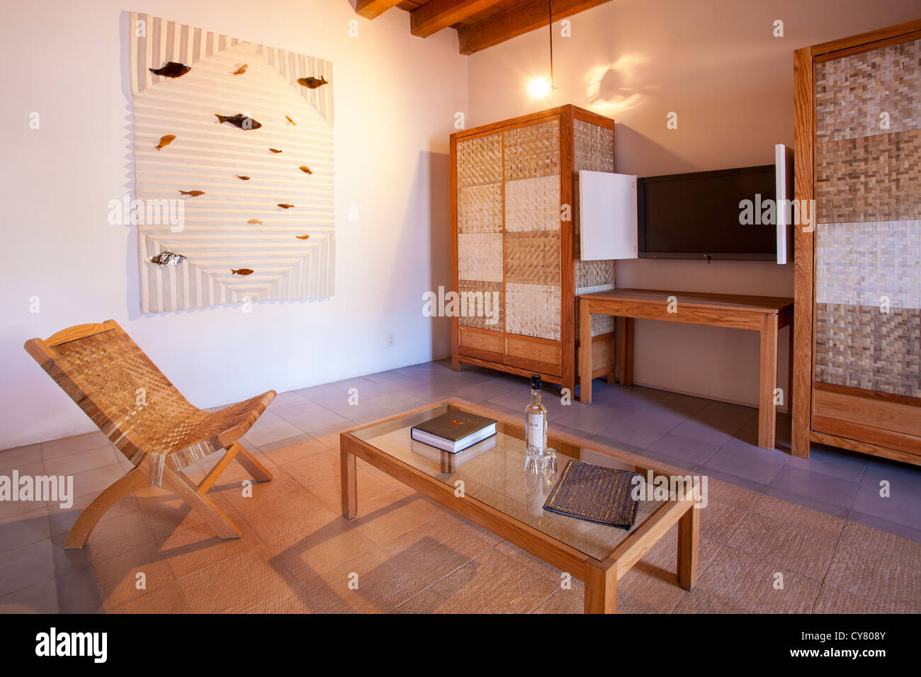 Reading tv room of the Francisco Toledo suite at the Hotel Azul de Oaxaca in the historic downtown of Oaxaca, Mexico. Stock Photo