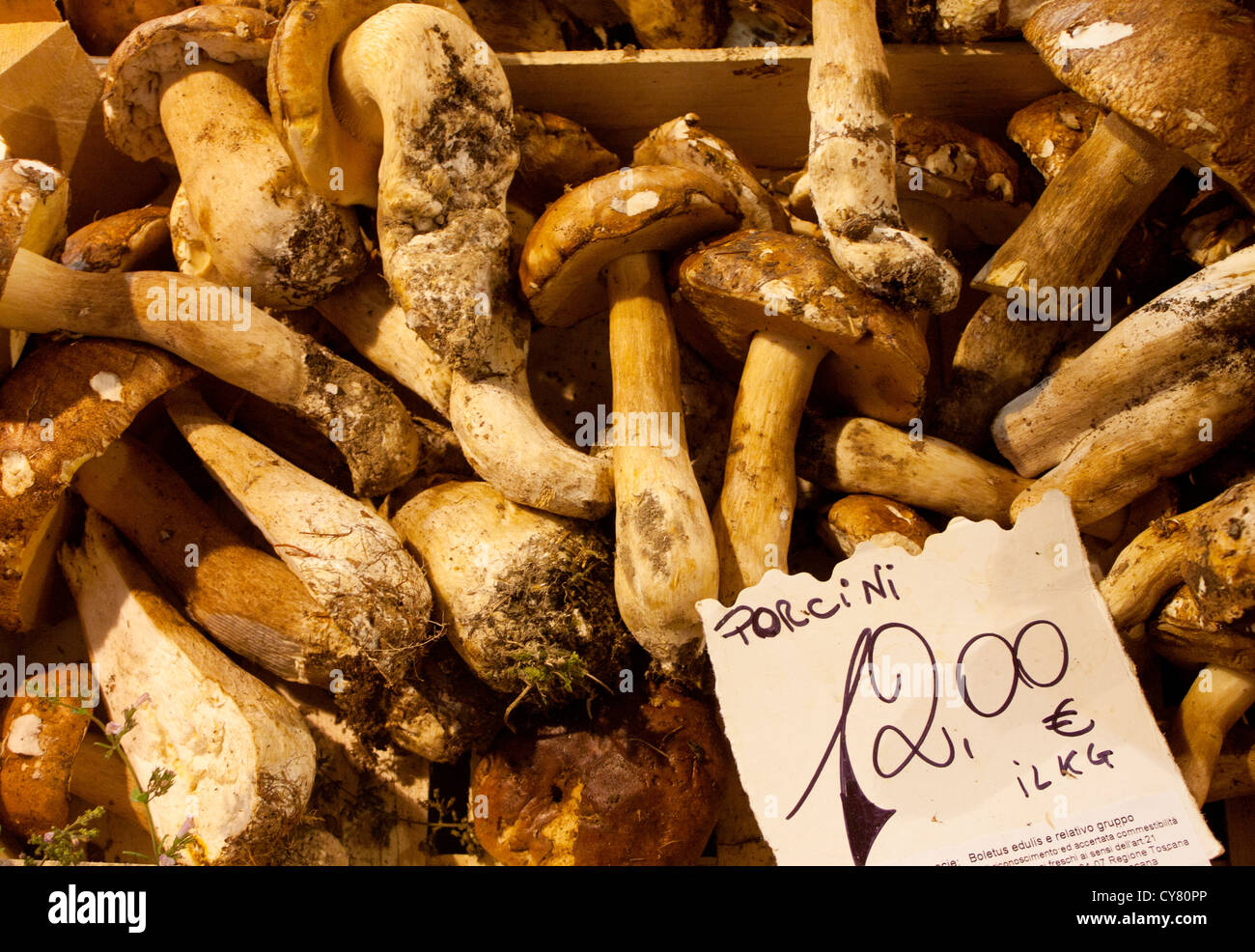 Porcini mushrooms in stall in Florence central covered market Florence Firenze Italy Stock Photo