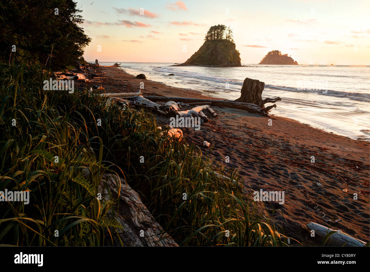 Cape Alava beach and sea stack at sunset, Olympic National Park, Olympic Peninsula, Clallam County, Washington, USA Stock Photo