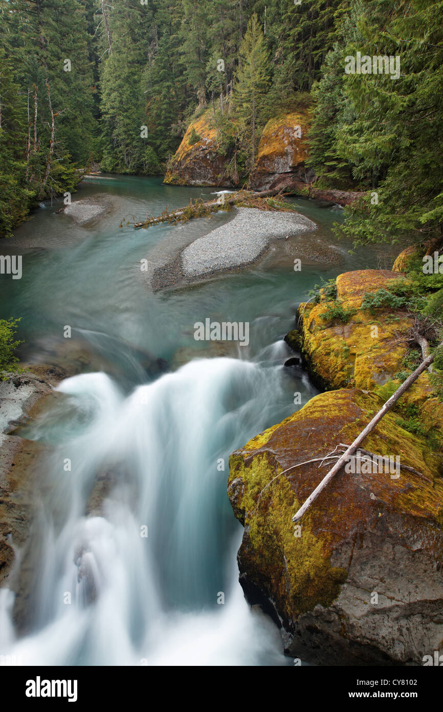 The Ohanapecosh River, Mount Rainier National Park, Washington, USA Stock Photo