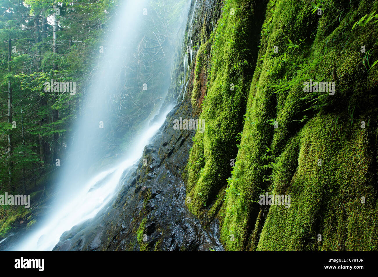 An un-named waterfall spills over a mossy cliff near Stevens Canyon ...