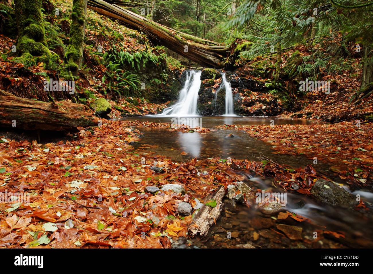 Cascade Creek flowing over Rustic Falls, Moran State Park, Orcas Island