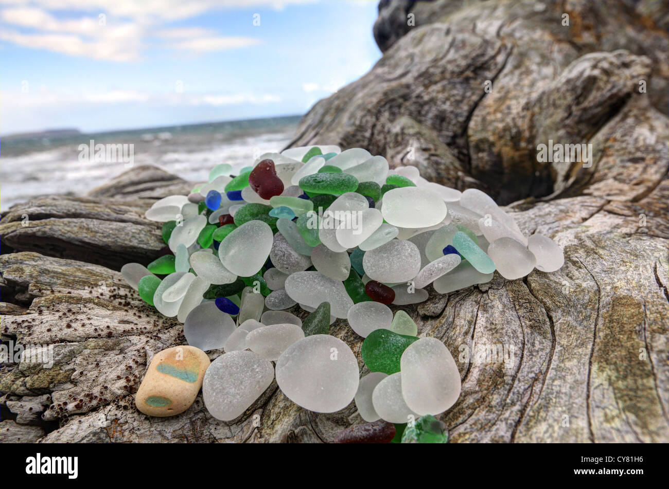 Beach Glass Piled On Driftwood North Beach Port Townsend