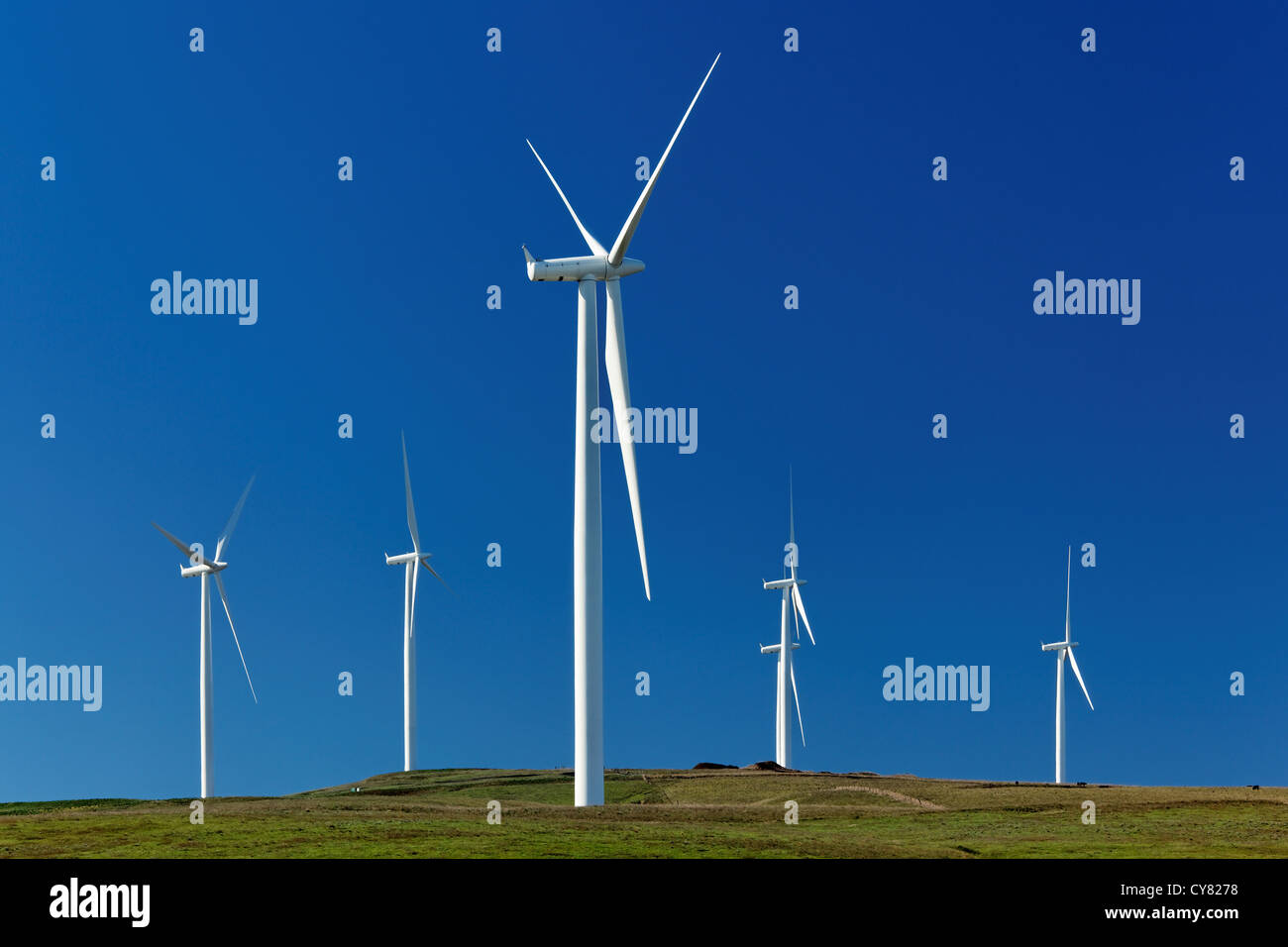 Wind turbines at Windy Flats wind farm, Haystack Butte, Columbia Hills, Goldendale, Klickitat County, Washington, USA Stock Photo