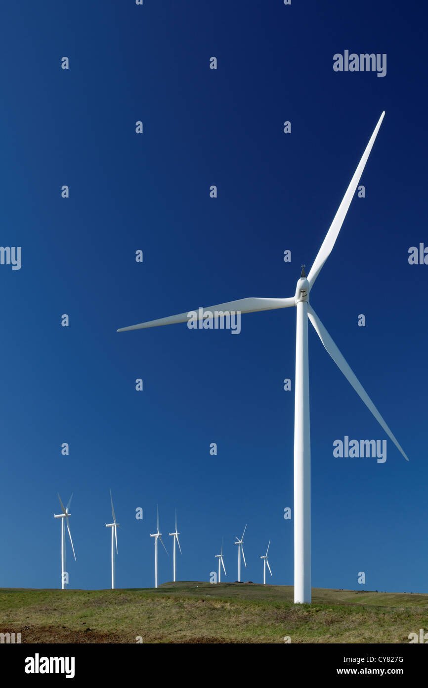 Wind turbines at Windy Flats wind farm, Haystack Butte, Columbia Hills, Goldendale, Klickitat County, Washington, USA Stock Photo