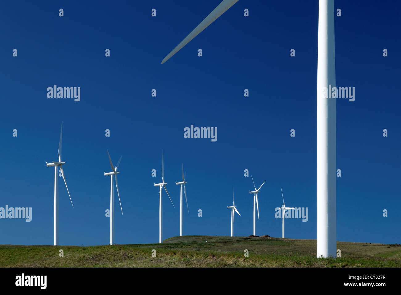 Wind turbines at Windy Flats wind farm, Haystack Butte, Columbia Hills, Goldendale, Klickitat County, Washington, USA Stock Photo