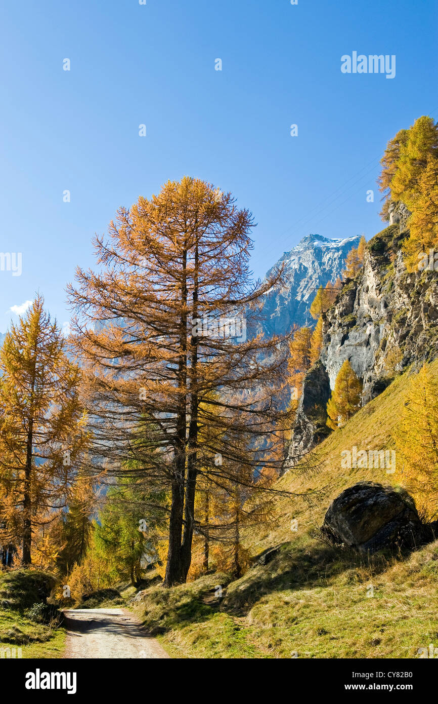 Italy, Piedmont, Devero alp, Alpe Devero Stock Photo - Alamy