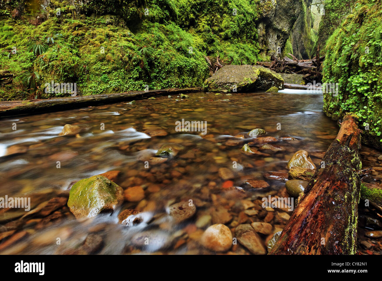 Oneonta Creek flowing out of entrance to Oneonta Canyon, Columbia River Gorge National Scenic Area, Oregon, USA Stock Photo