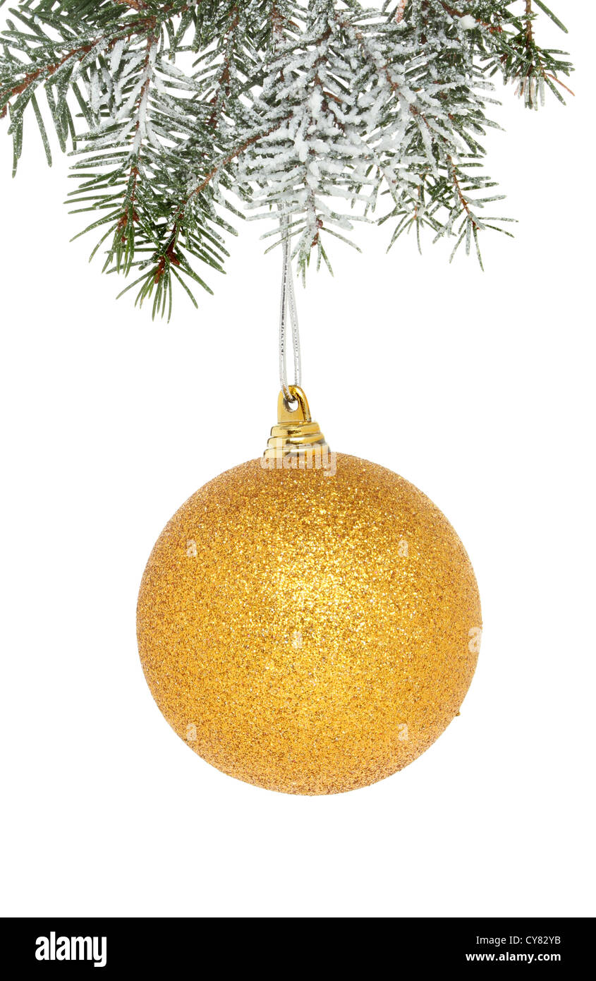 Gold tree isolated hi-res stock photography and images - Alamy