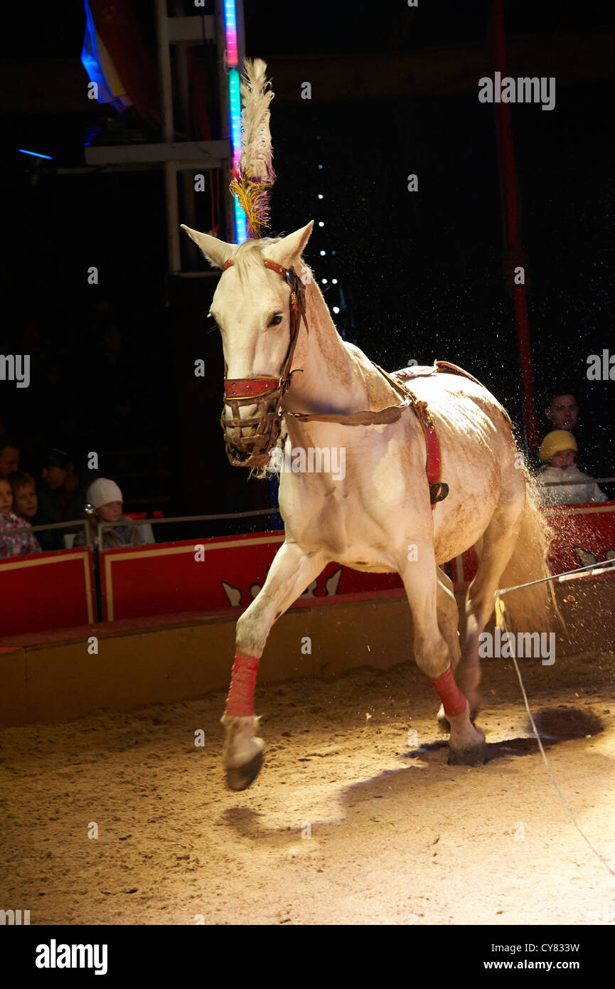 Circus Show Stock Photo - Alamy