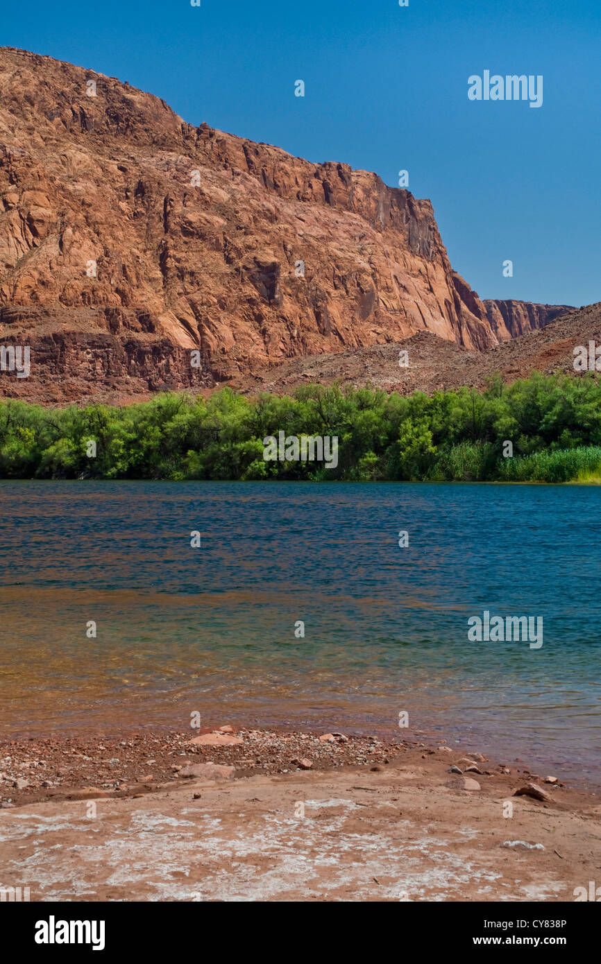 Colorado River at Lee's Ferry, Glen Canyon National Recreation Area, Arizona Stock Photo