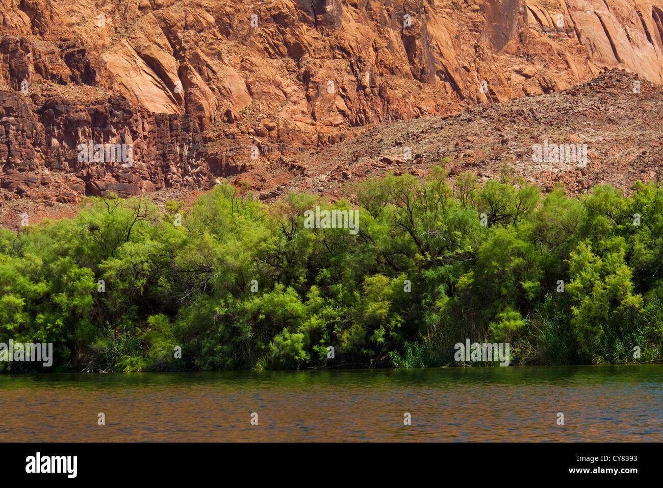 Colorado River at Lee's Ferry, Glen Canyon National Recreation Area, Arizona Stock Photo