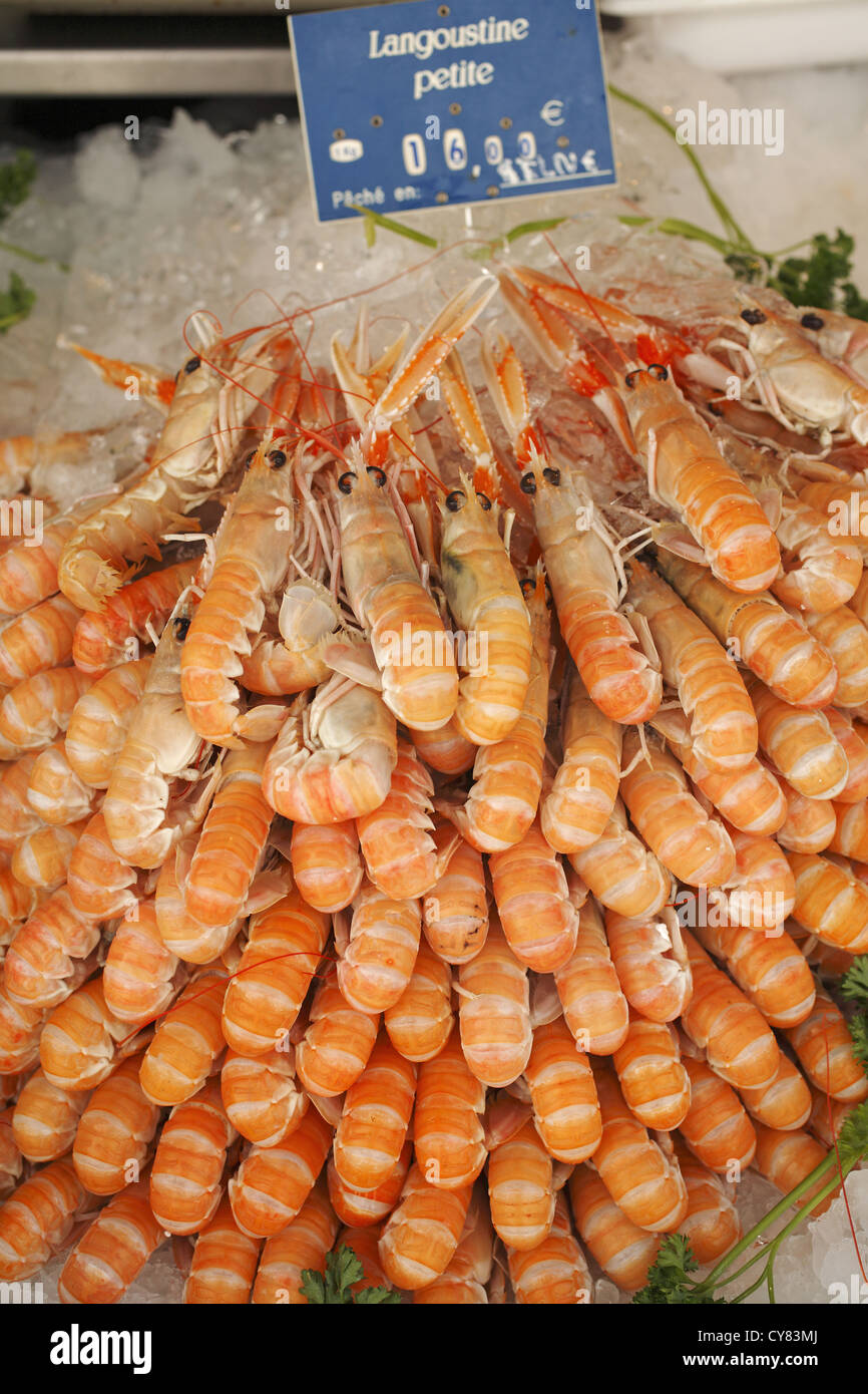 Langoustine prawn hires stock photography and images Alamy