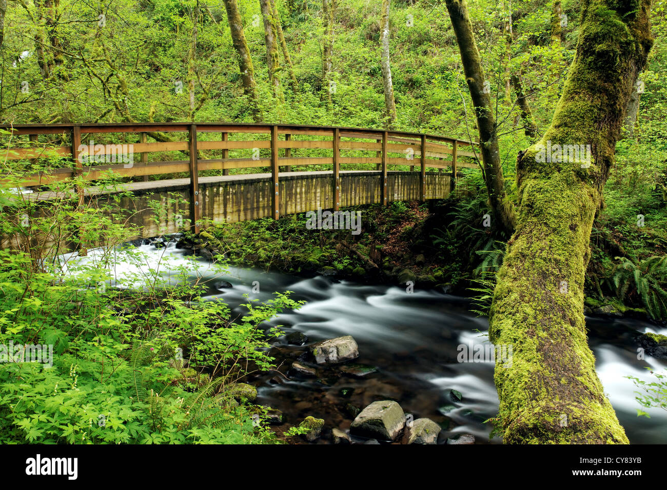 Bridal Veil Falls State Park High Resolution Stock Photography and