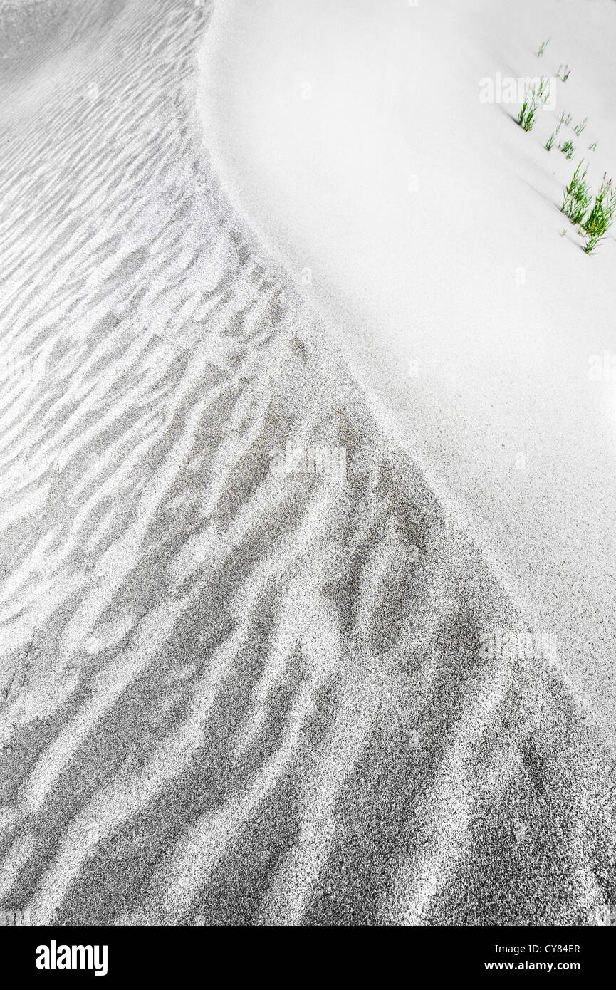 Grass and sand texture hi-res stock photography and images - Alamy
