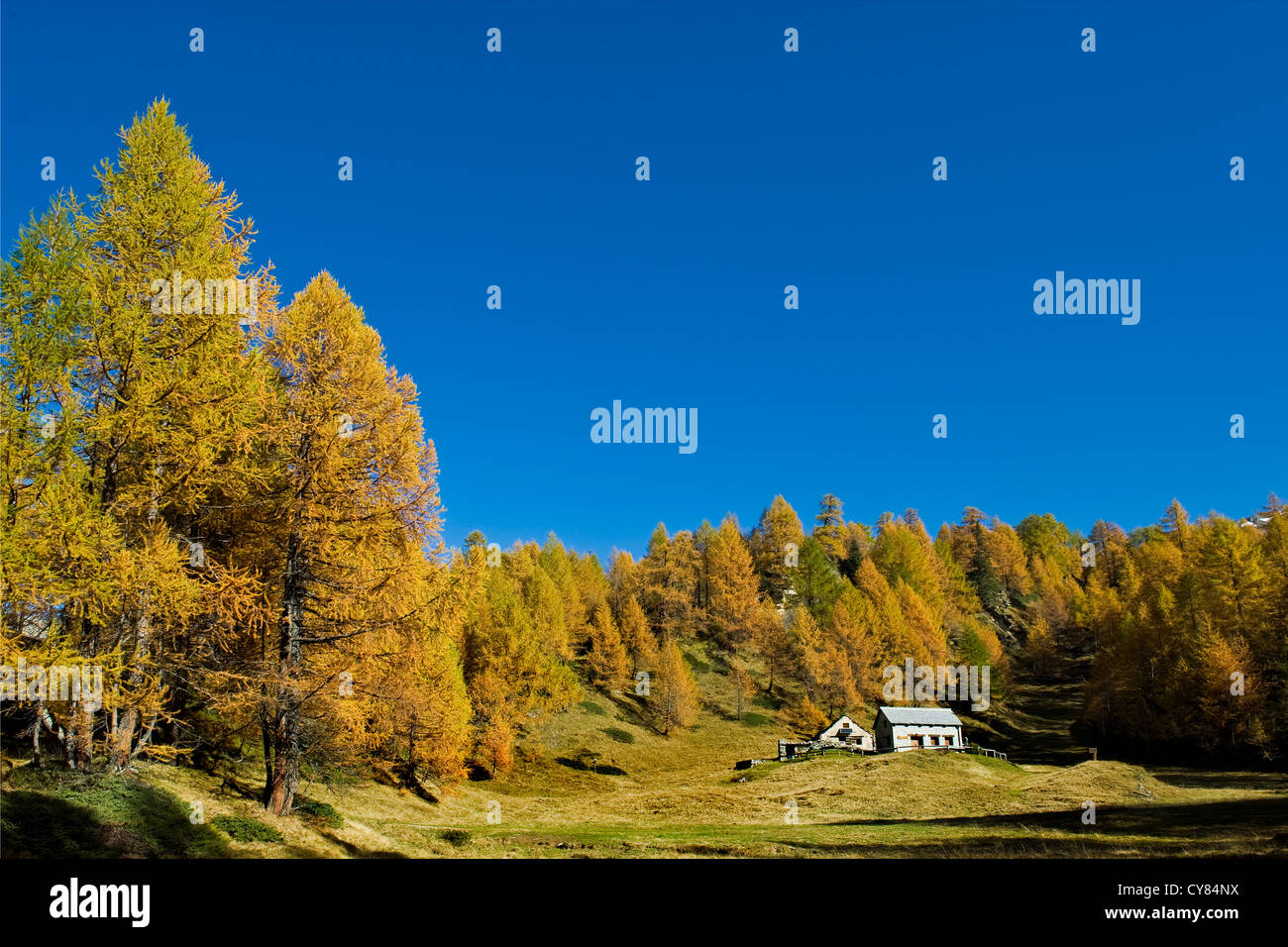 Italy, Piedmont, Devero alp, Alpe Devero Stock Photo - Alamy