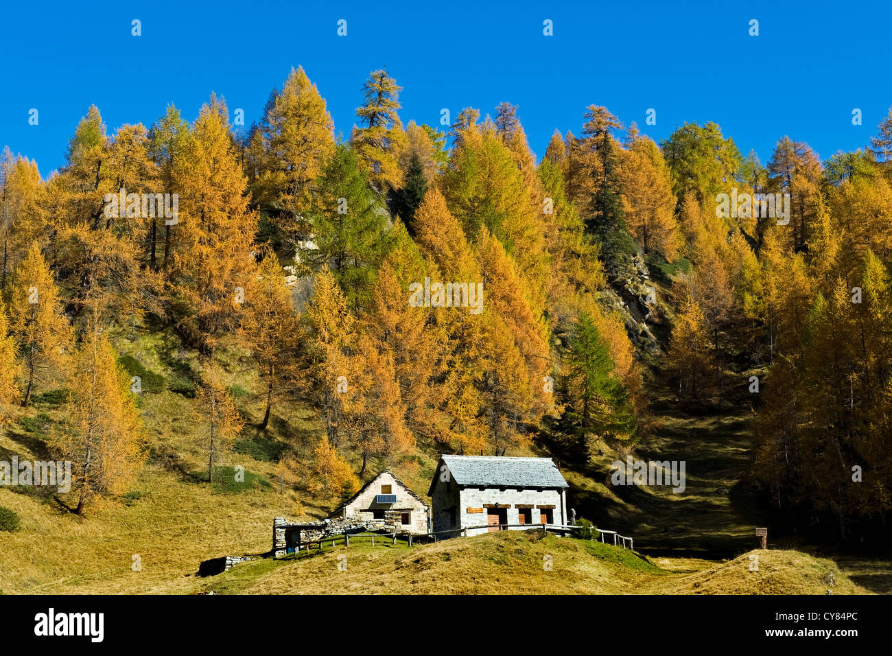 Italy, Piedmont, Devero alp, Alpe Devero Stock Photo - Alamy