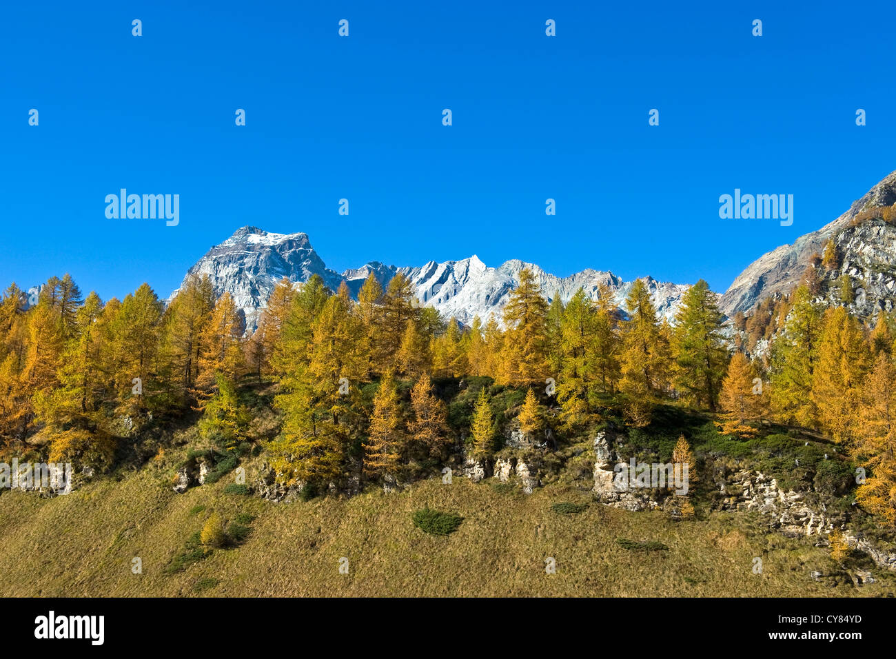 Italy, Piedmont, Devero alp, Alpe Devero Stock Photo - Alamy