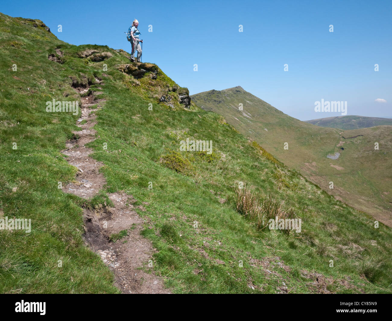 A female hill walker approaches Cadair Berwyn in the Berwyn Mountains, North Wales Stock Photo