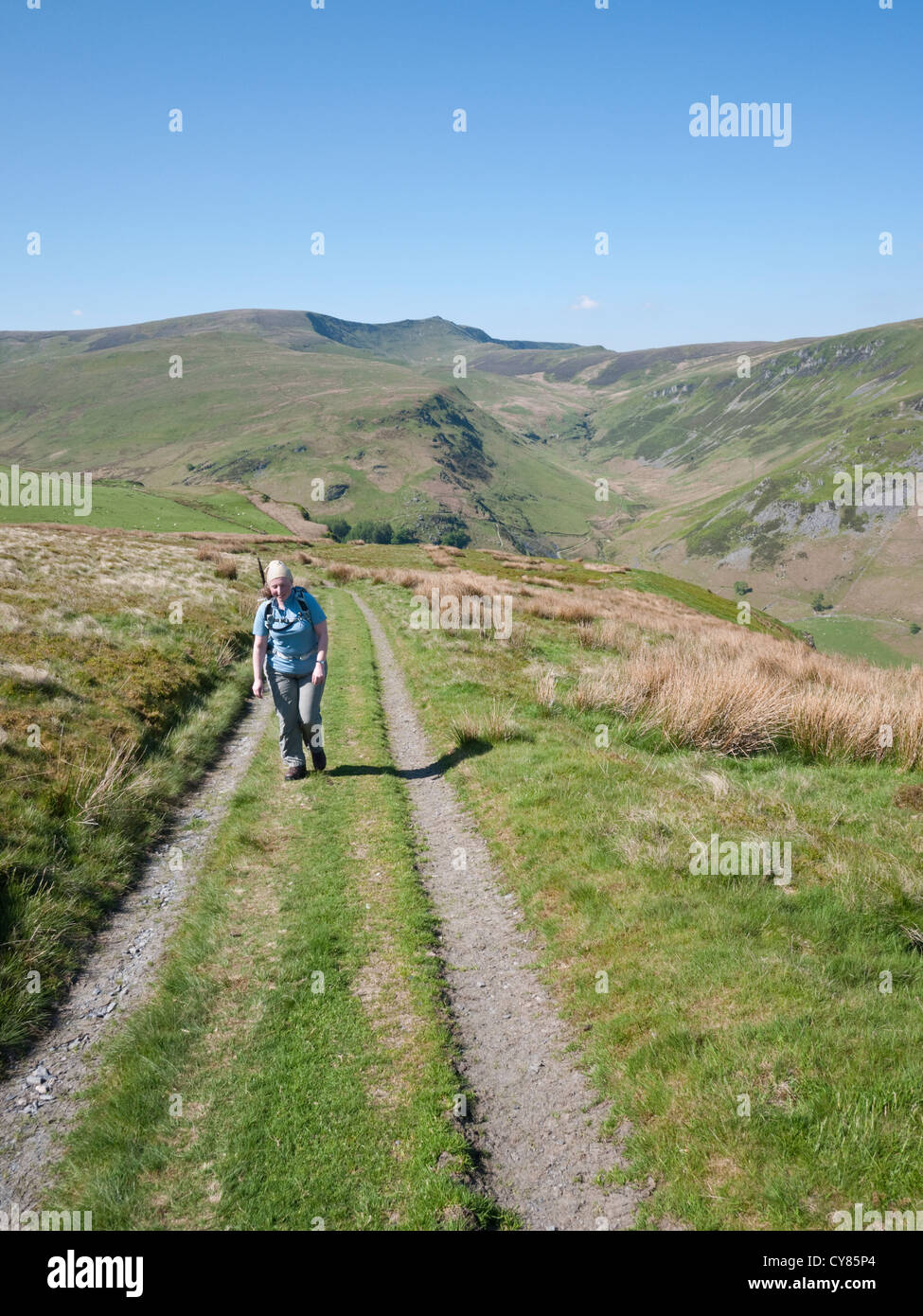 A female hill walker in the Berwyn Mountains, Wales. The high points of Moel Sych and Cadair Berwyn provide the backdrop Stock Photo