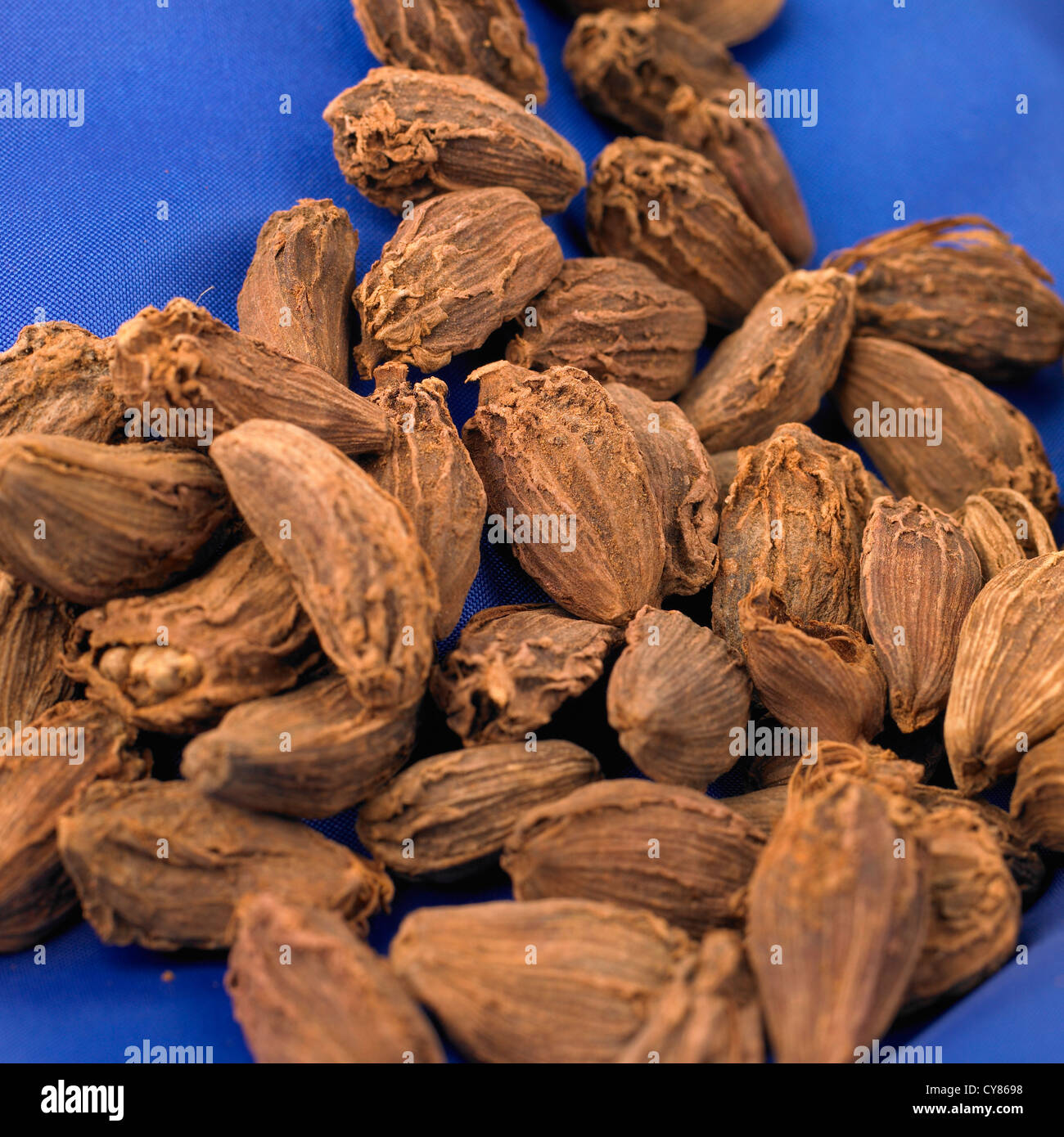 Whole black cardamom pods hires stock photography and images Alamy