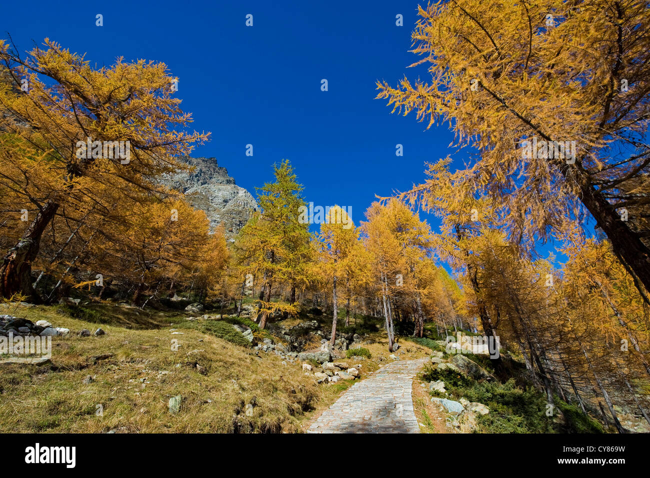 Italy, Piedmont, Devero alp, Alpe Devero Stock Photo - Alamy