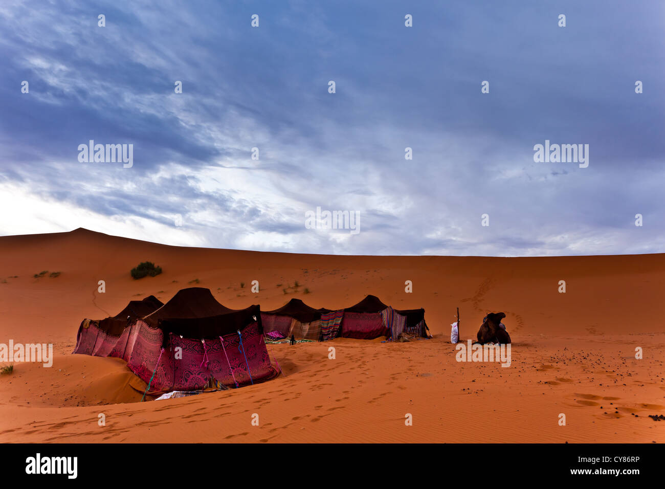 Colorful Bedouin nomad tent camp at an oasis in the Sahara Desert  and dramatic cloudy sky in Morocco Stock Photo