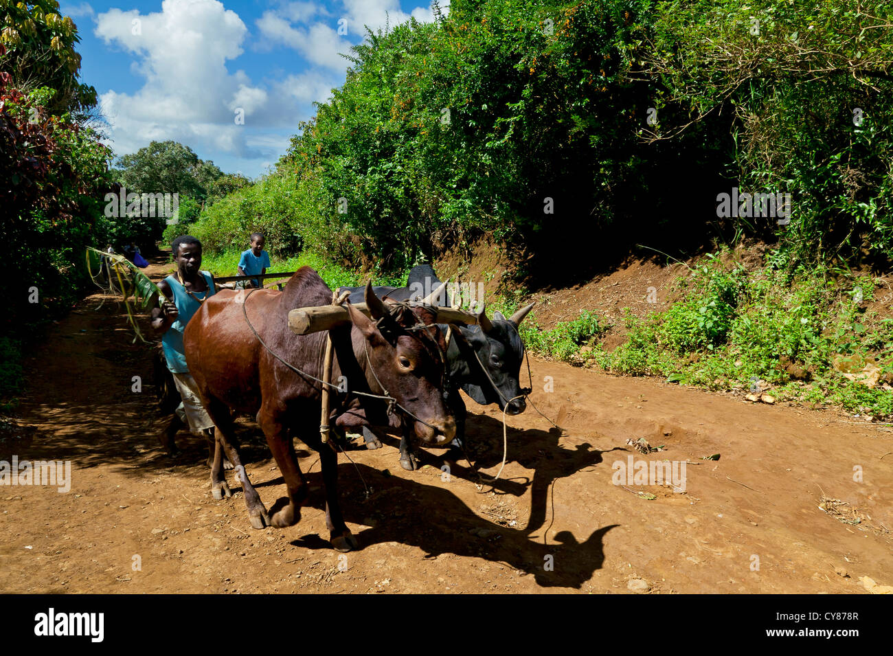 Ambre perkins hi-res stock photography and images - Alamy